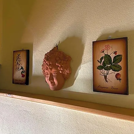 Bed & Breakfast Antica Corte Al Molino Di Roberto Mazzi Winery- Adults Only 3*